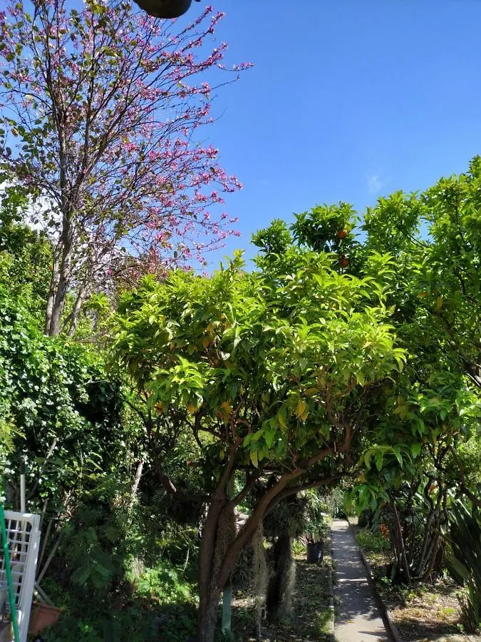 Maison Trucchi Menton Apartmán